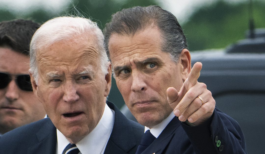 Judge lowers boom on ex-Overstock CEO for 'highly reprehensible' and 'inherently implausible' story about Hunter Biden and Iranian bribery plot