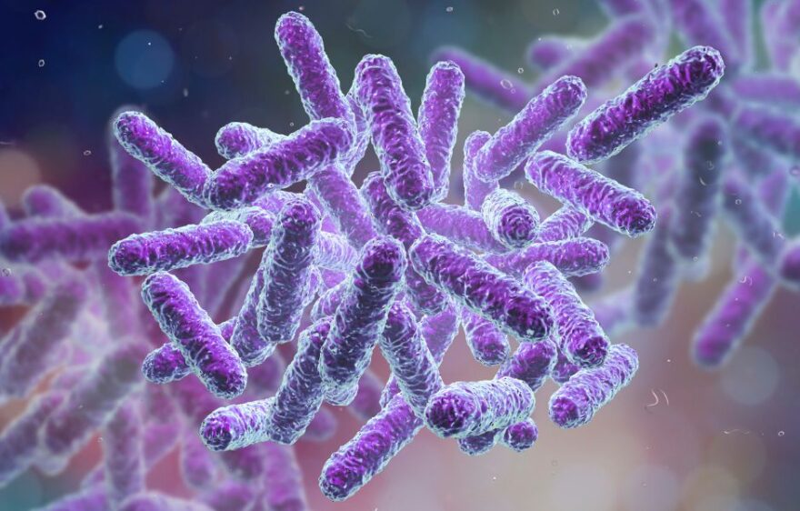 Colorado sees Spike in Salmonella