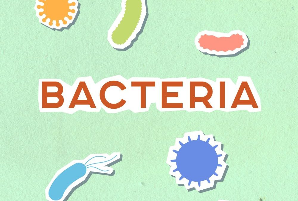 Gut Bacteria Byproduct Tied to Arrhythmia Risk