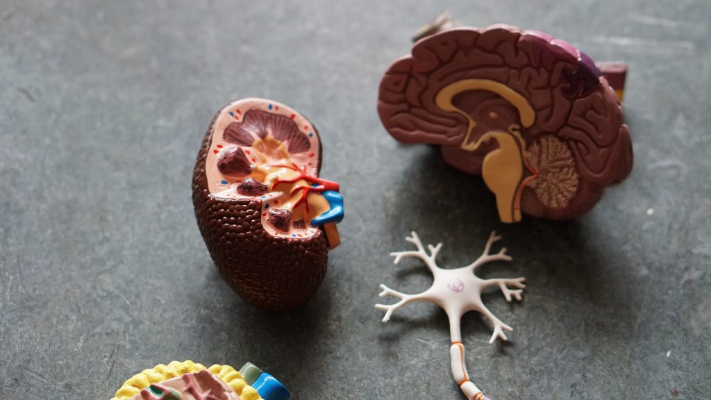 Hidden Symptoms of Nervous System Damage After a Workplace Accident