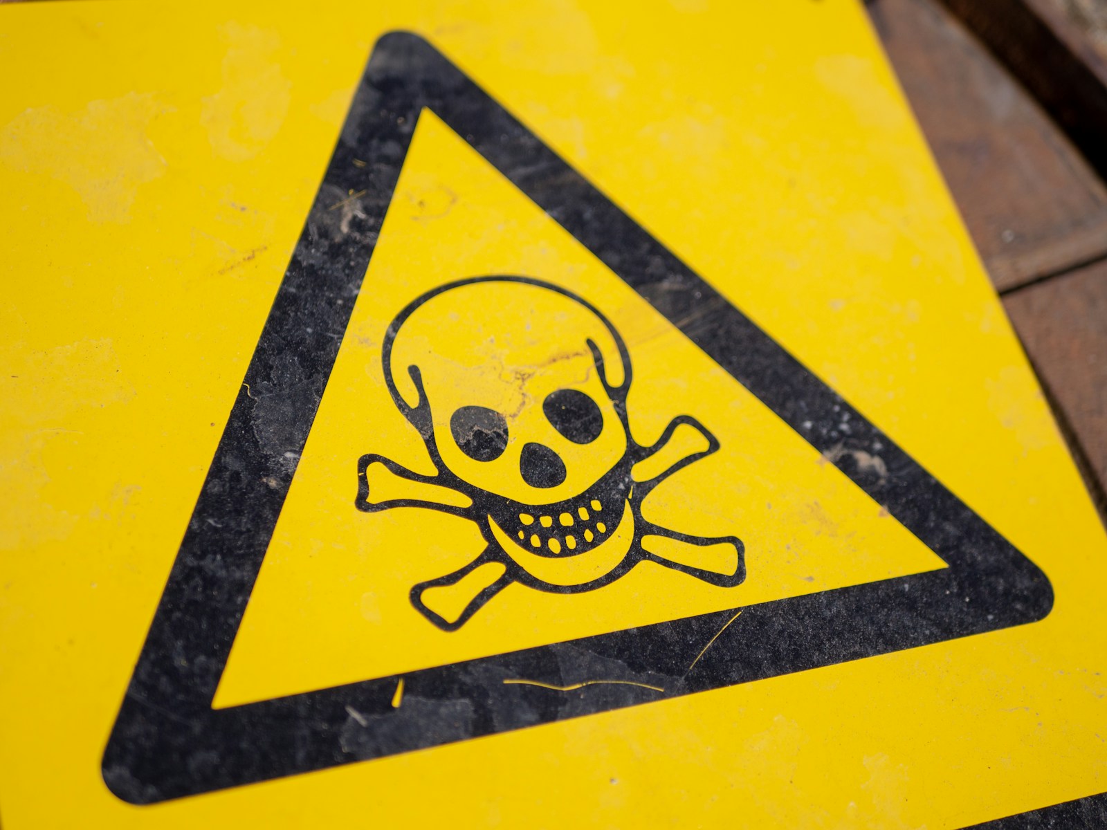 Microsoft founder Bill Gates warns of AI dangers!