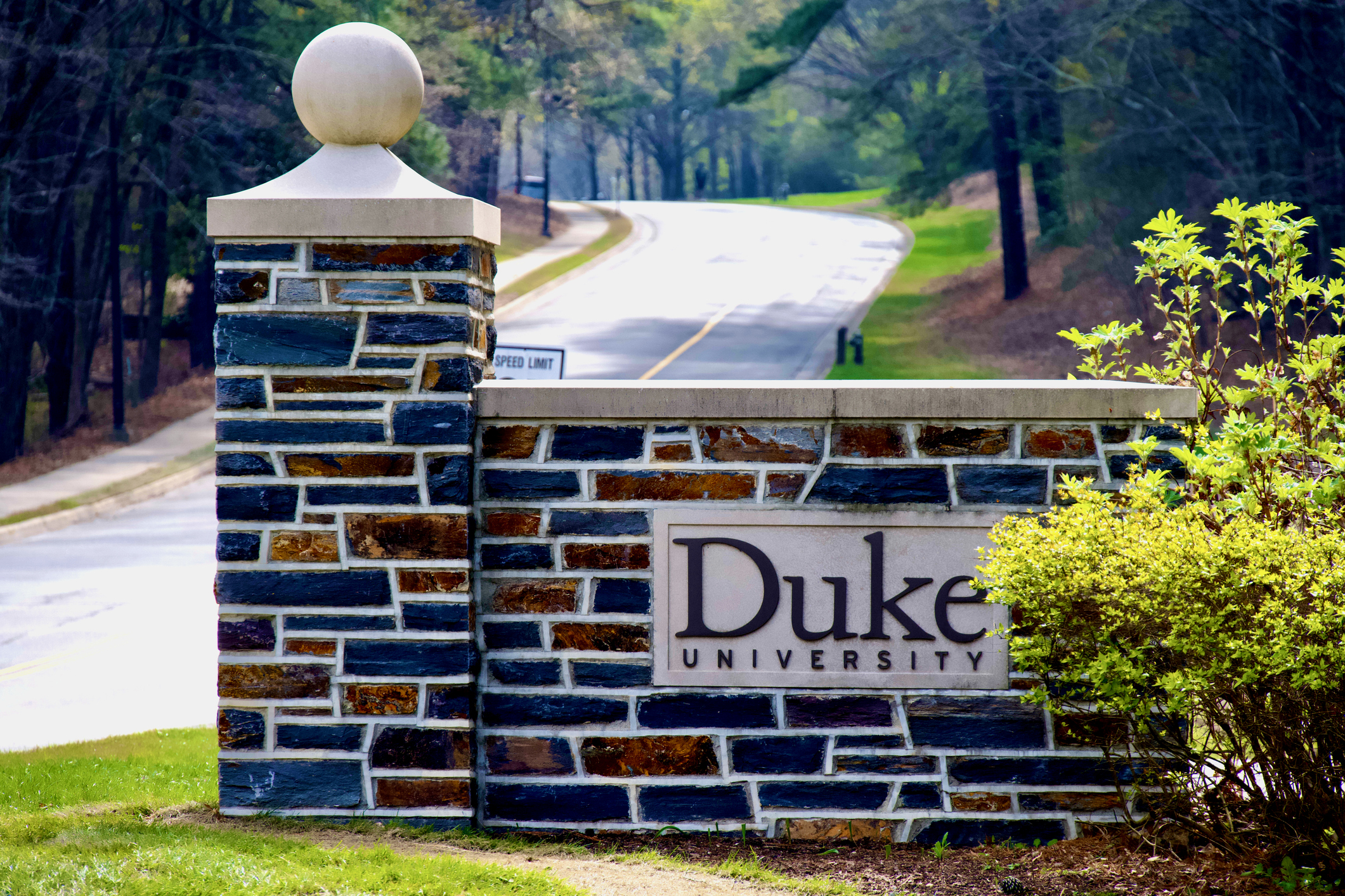 Dean of Duke University School of Law plans to step down