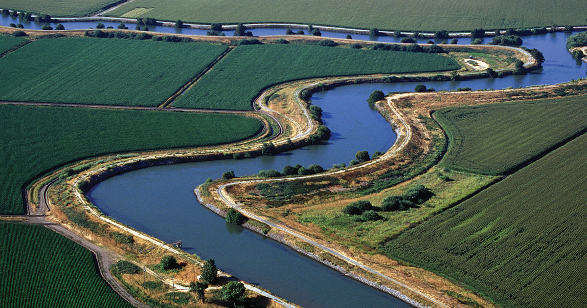 Beyond the Floodplain: The Levee Was Dry Expands Its Focus
