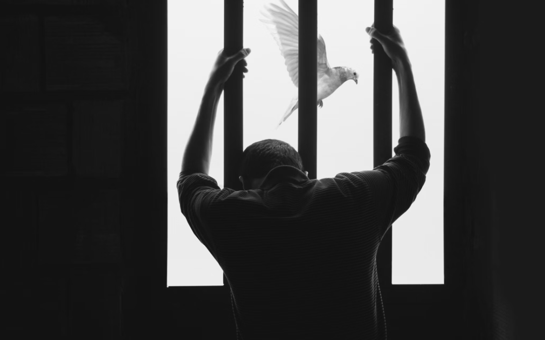 Canada Just Built the Wrongful Conviction Review System America Keeps Debating