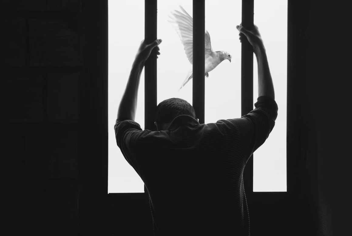 Canada Just Built the Wrongful Conviction Review System America Keeps Debating