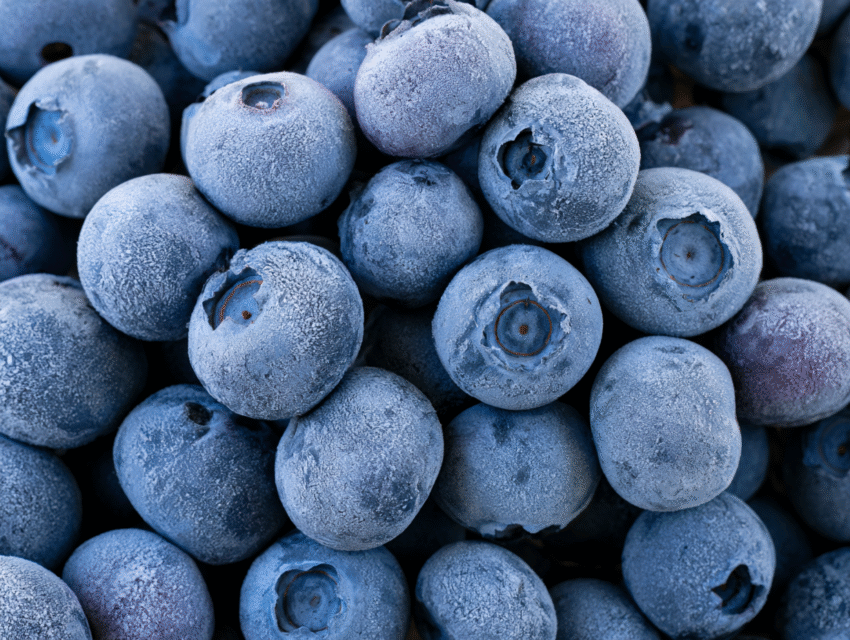 The Publix GreenWise Blueberry E. coli Count Has Not Moved Since July 6. The FDA Page the CDC Sends You To Still Says Only One Lot Was Recalled.