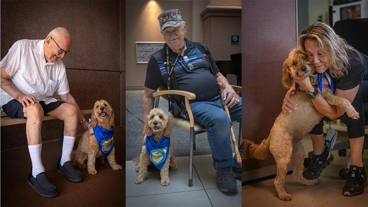 28 seconds of calm: How a therapy dog helped a Veteran in crisis