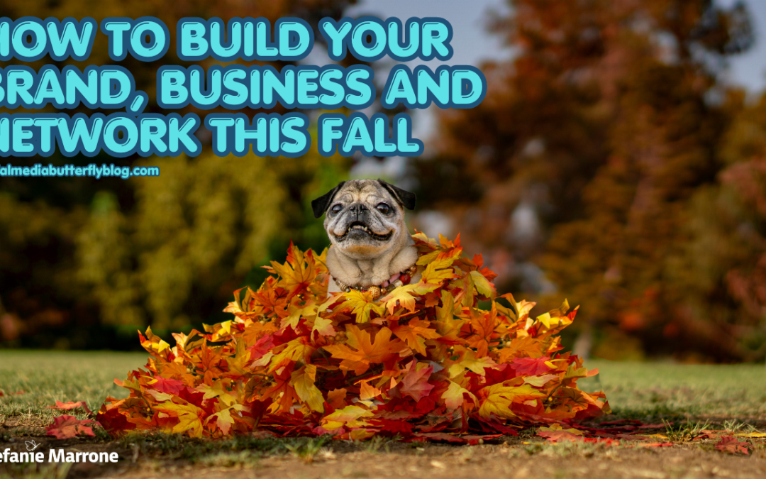 How to Build Your Brand, Business and Network This Fall
