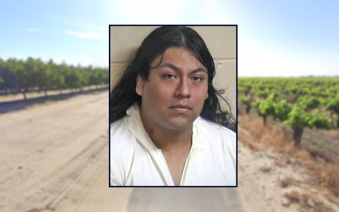 Man accused of using 'Rambo-style knife' to kill younger brother tells judge he still needs to babysit his younger siblings