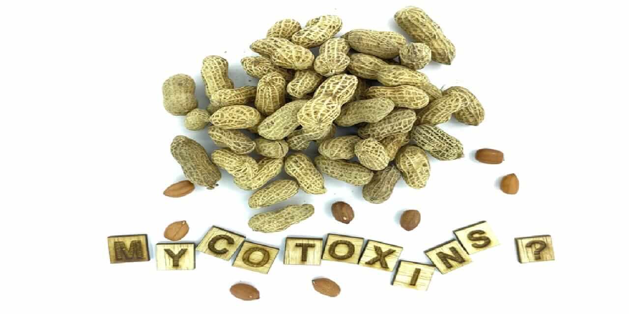German survey finds limited mycotoxin awareness