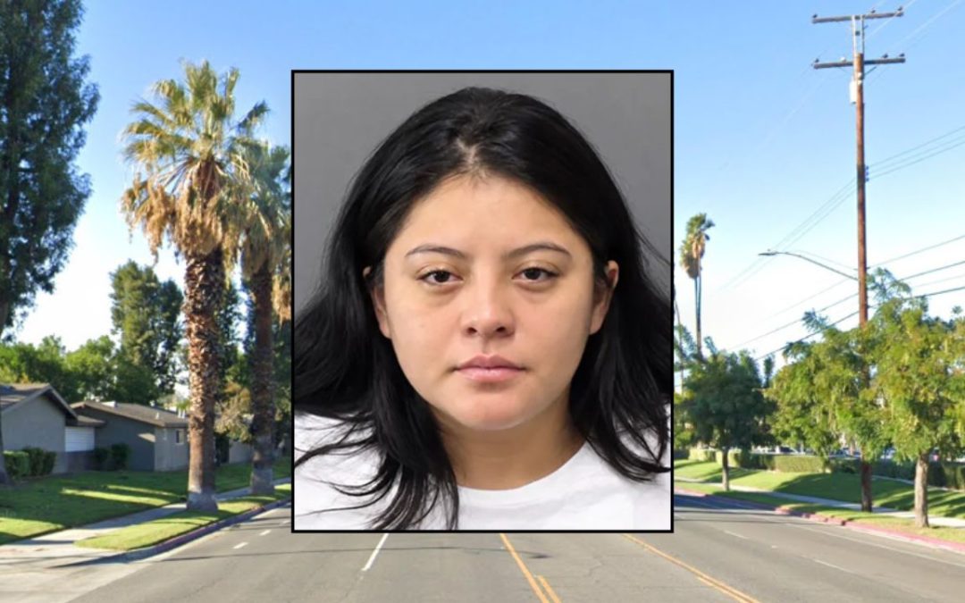 Mom abandoned baby 'only a few hours old' in dumpster in the rain with 'umbilical cord still attached': Police