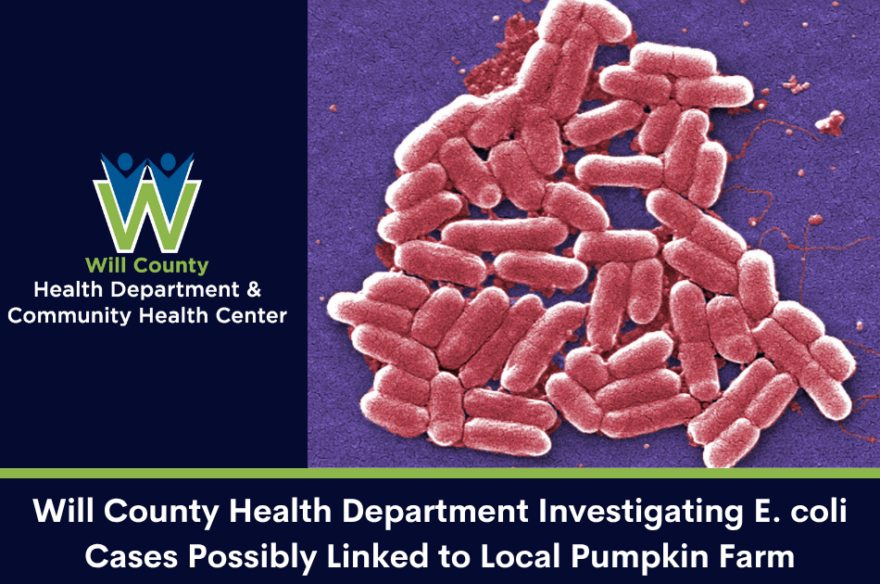 Five Sickened with E. coli – Bengtson’s Pumpkin Farm Petting Zoo Closed