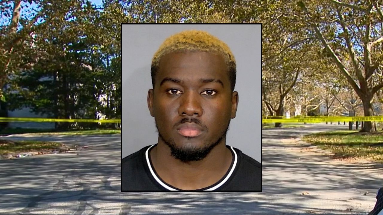 Man plows his Ford into little kids playing in grass, admits driver honked and 'told him he hit a child' but he still chose to take off: Cops