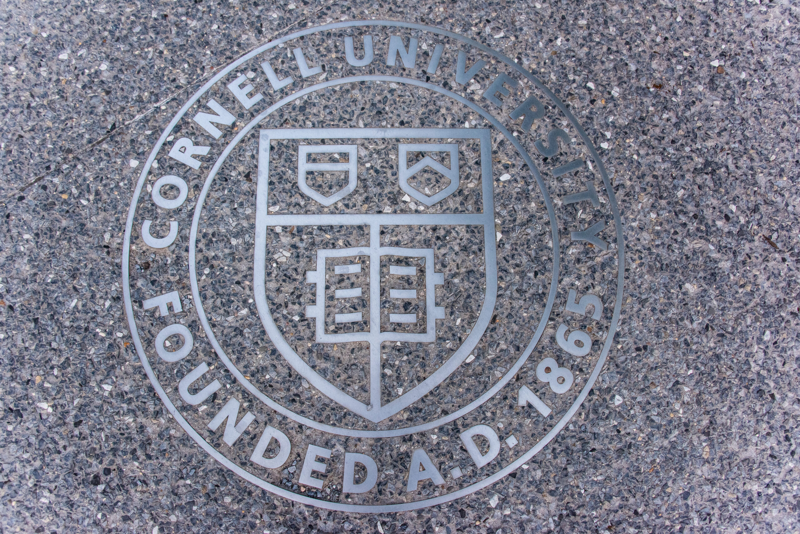 ‘Enablers Will Endlessly Protect Institutions’: The Cornell 7 Case And The Crime Of Looking Away