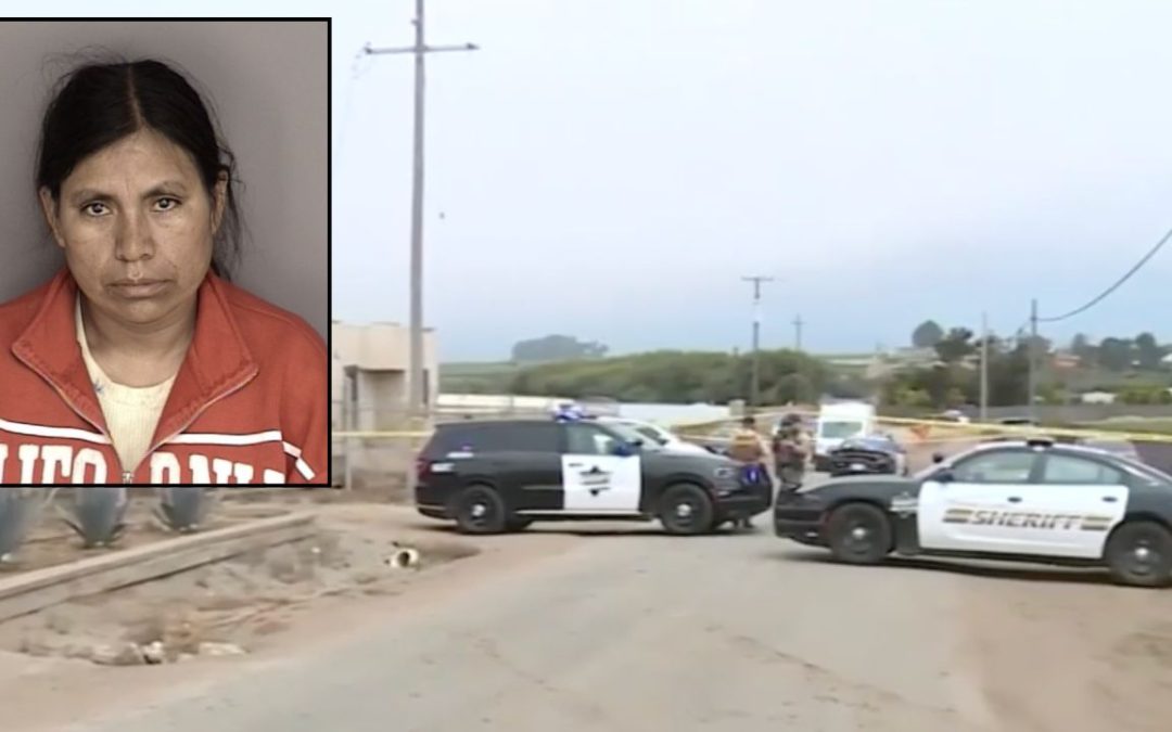 Grandmother of newborn found dead on roadside arrested days after husband, allegedly the baby's father, was taken into custody