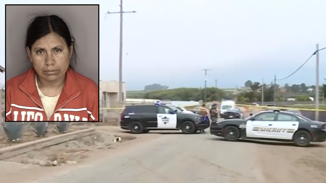 Grandmother of newborn found dead on roadside arrested days after husband, allegedly the baby's father, was taken into custody